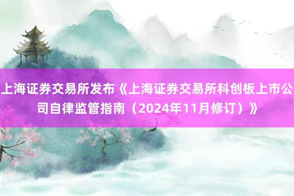 上海证券交易所发布《上海证券交易所科创板上市公司自律监管指南（2024年11月修订）》