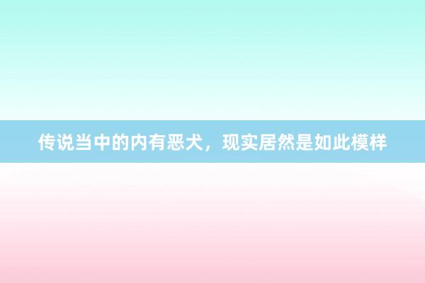 传说当中的内有恶犬，现实居然是如此模样