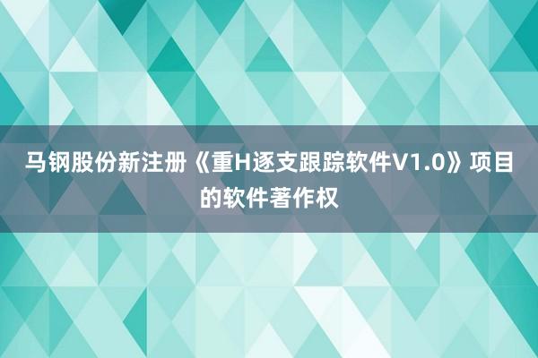 马钢股份新注册《重H逐支跟踪软件V1.0》项目的软件著作权