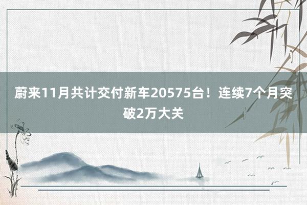 蔚来11月共计交付新车20575台！连续7个月突破2万大关