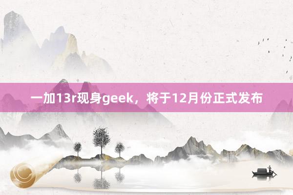 一加13r现身geek，将于12月份正式发布