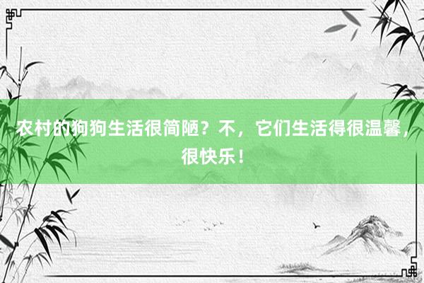 农村的狗狗生活很简陋？不，它们生活得很温馨，很快乐！