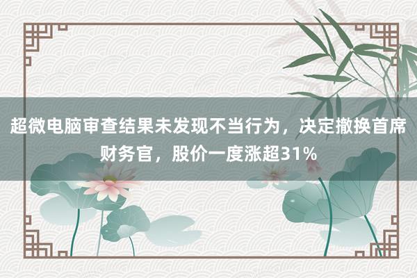 超微电脑审查结果未发现不当行为，决定撤换首席财务官，股价一度涨超31%