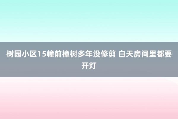 树园小区15幢前樟树多年没修剪 白天房间里都要开灯