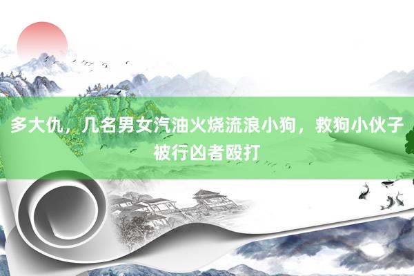 多大仇，几名男女汽油火烧流浪小狗，救狗小伙子被行凶者殴打