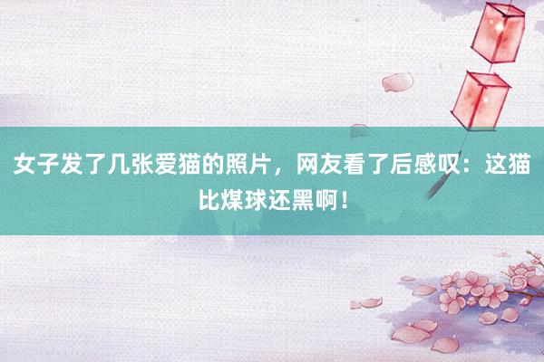 女子发了几张爱猫的照片，网友看了后感叹：这猫比煤球还黑啊！