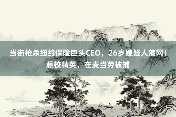 当街枪杀纽约保险巨头CEO，26岁嫌疑人落网！藤校精英，在麦当劳被捕