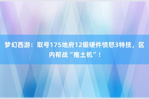 梦幻西游：取号175地府12锻硬件愤怒3特技，区内帮战“推土机”！