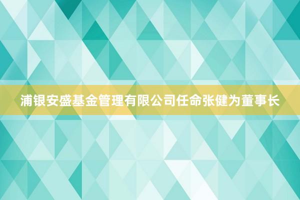 浦银安盛基金管理有限公司任命张健为董事长