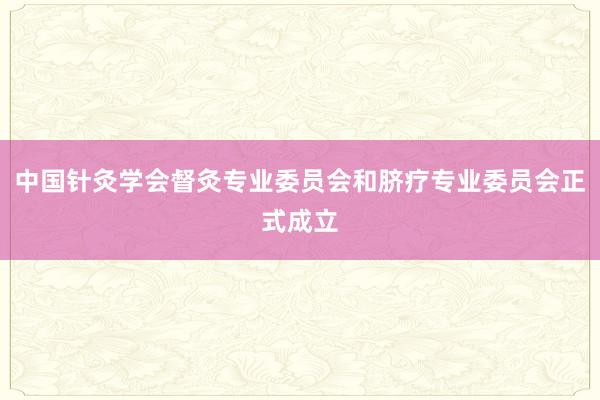 中国针灸学会督灸专业委员会和脐疗专业委员会正式成立