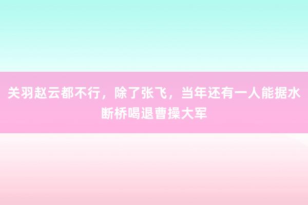 关羽赵云都不行，除了张飞，当年还有一人能据水断桥喝退曹操大军