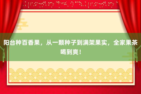 阳台种百香果，从一颗种子到满架果实，全家果茶喝到爽！