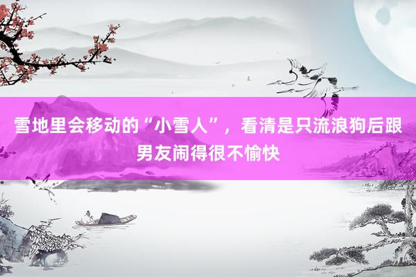 雪地里会移动的“小雪人”，看清是只流浪狗后跟男友闹得很不愉快